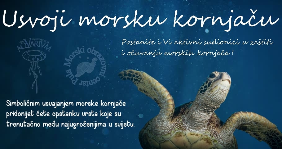 ELLA RAVKA, MARO ILI MINI KOKO Usvojite kornjaču u Aquariumu Pula i time pomozite u njihovu oporavku