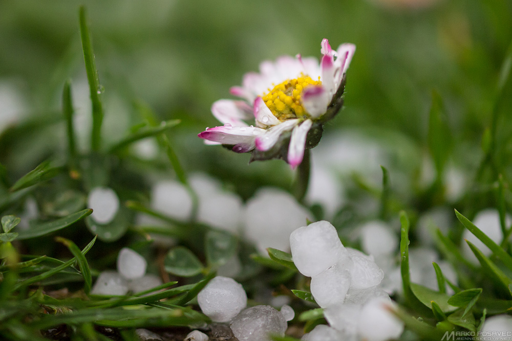 Pred nama je SUNČANA NEDJELJA s niskim JUTARNJIM TEMPERATURAMA
