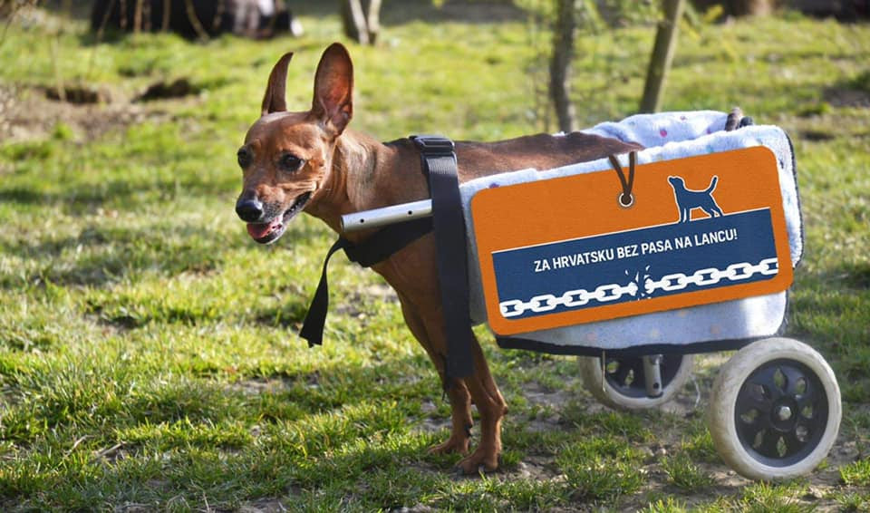 Veterinari za zabranu drzanja pasa na lancu