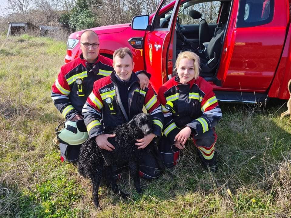 Umag: Vatrogasci spasili psa koji je upao u šaht dubok pet metara
