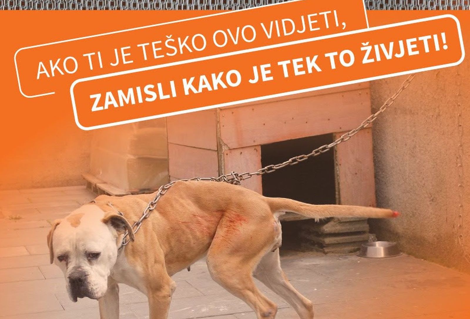 TREBA ZNATI PREREZATI ZAKONE KOJI NISU PROVEDIVI - Kako je čovjek zaboravio svog najboljeg prijatelja??