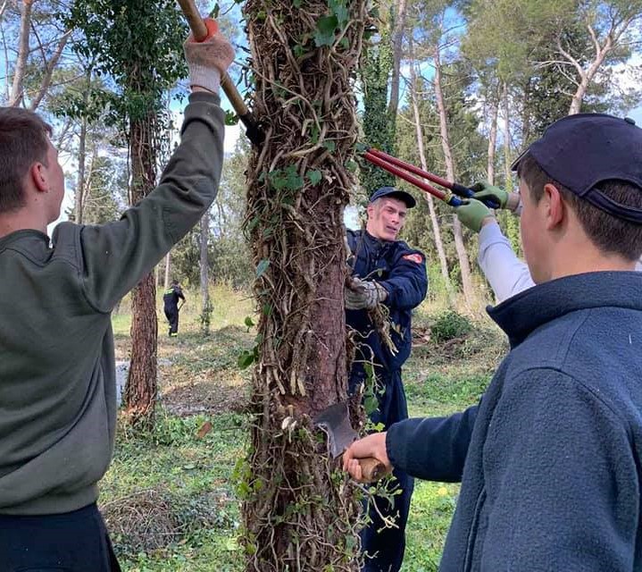 ROVINJSKO SELO OČIŠĆENO I UMIVENO Tridesetak Seljana uz pomoć Rovinjca uredilo zelene površine