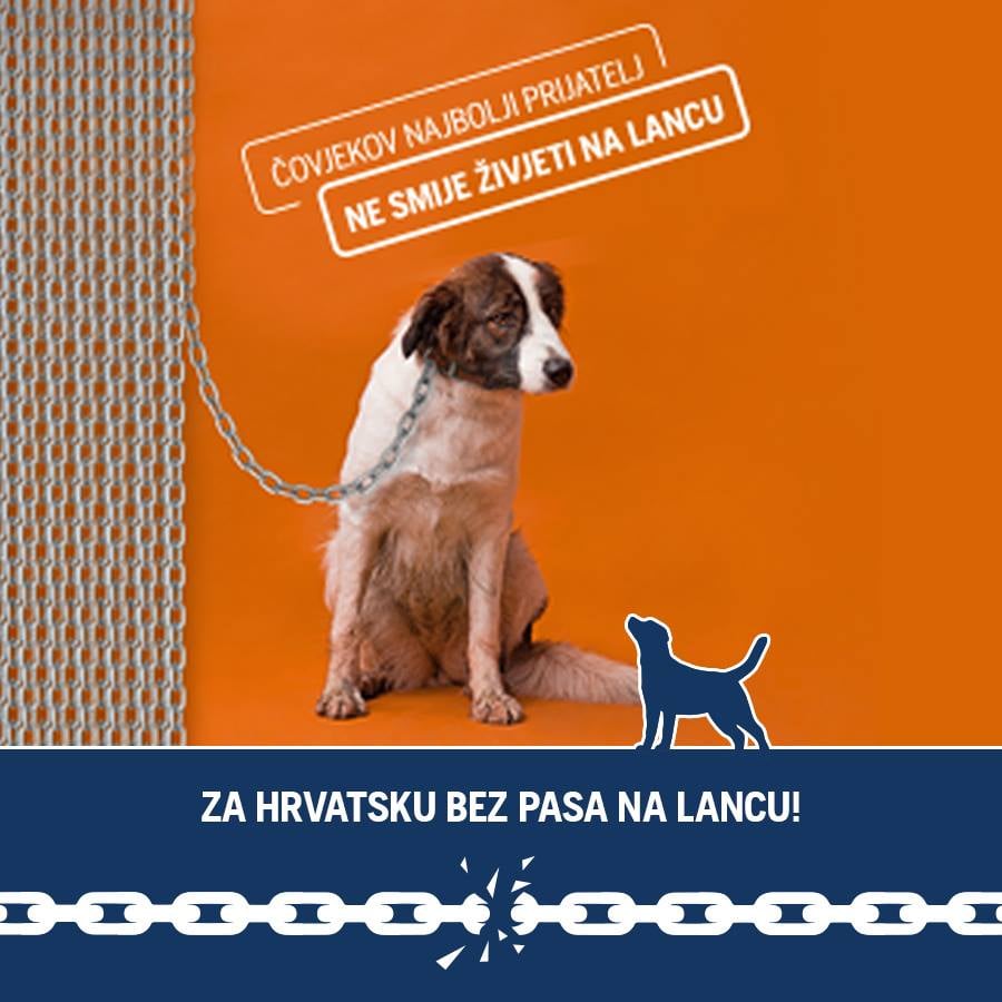 Ministarstvo poljoprivrede: Cilj je prestanak držanja pasa na lancu