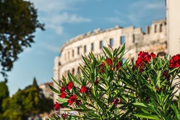 U Puli će se održati dodjela nagrade ZLATNA PENKALA Predstavnicima inozemnih medija