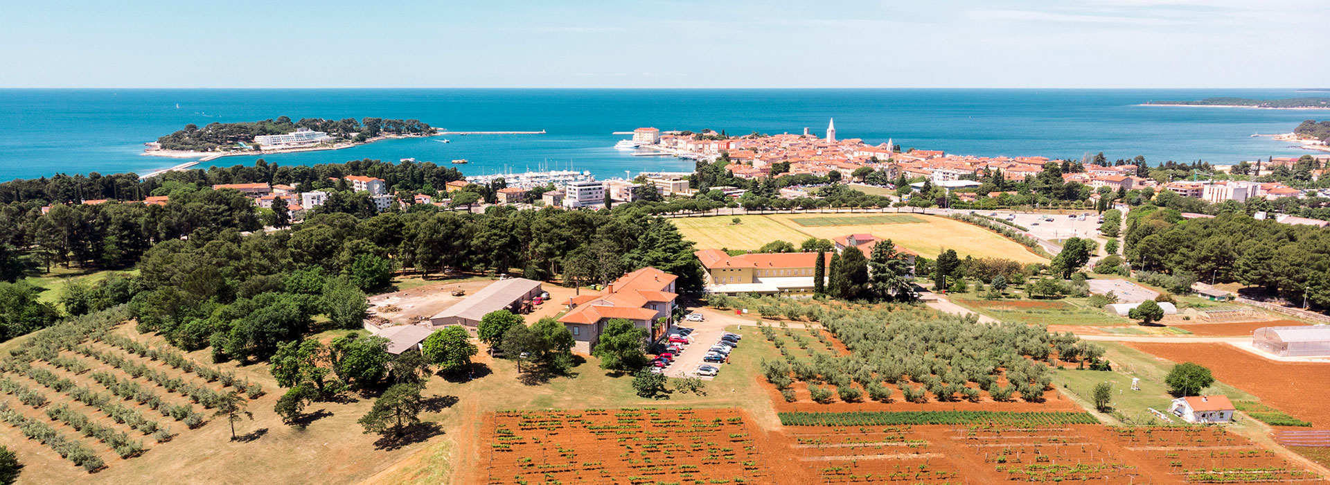 POREČ: Veliki interes za gimnazije, odličan upis i u turističko-ugostiteljskoj te poljoprivrednoj školi