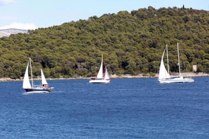 Jadran nikada nije bio tako slan STRUČNJACI UPOZORAVAJU NA POSLJEDICE