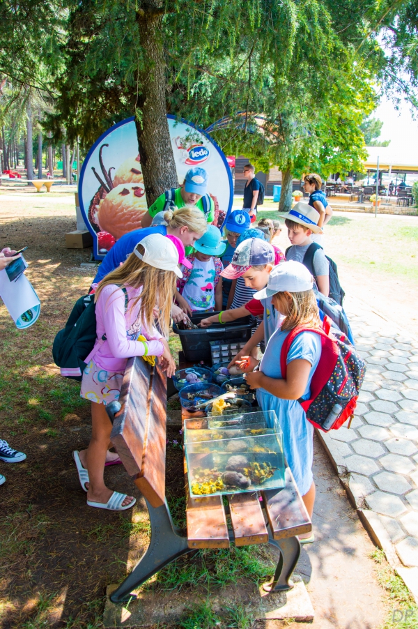 Edukacija 'Mini morska školica' danas na porečkoj plaži Pical