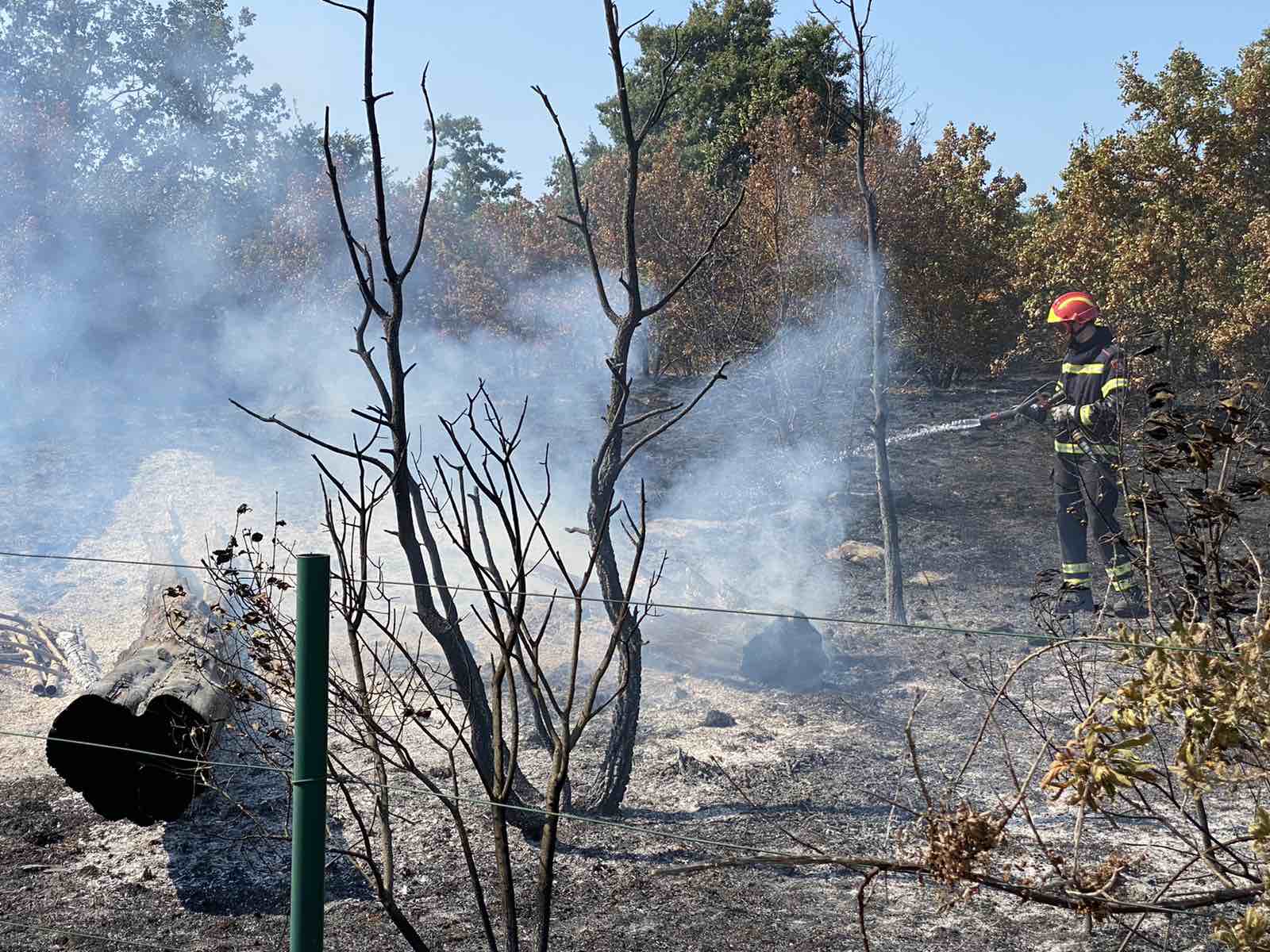 VELIKI POŽAR NA ŽMINJŠTINI U Ceru opožareno čak 5 hektara niskog raslinja
