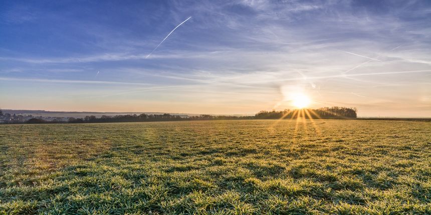 U Istri sutra SUNČANO UZ JUTARNJU MAGLU 