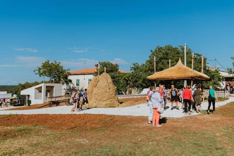 Park istarskog vola u Kanfanaru nagrađen kao jedan od najboljih novih projekata u turizmu  