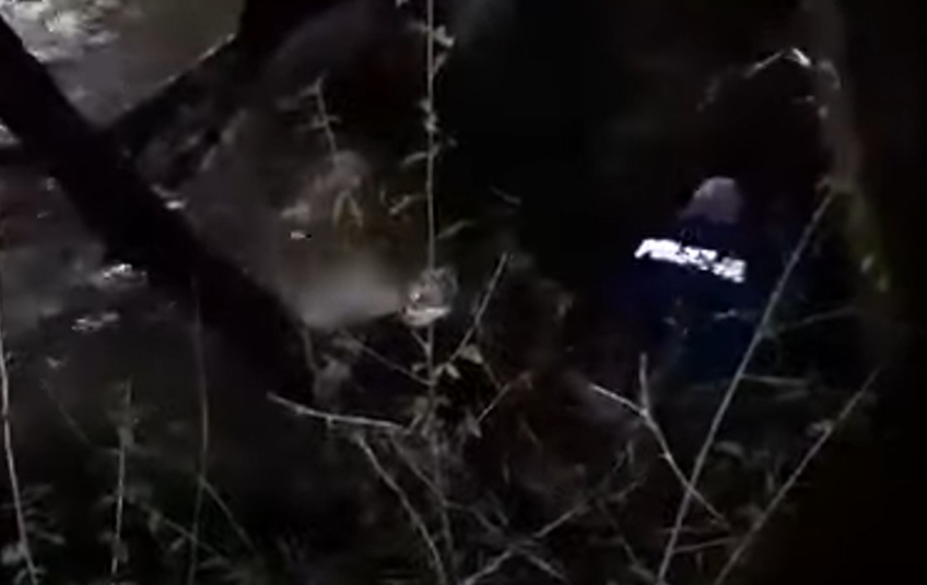 TUŽNE VIJESTI STIŽU IZ BUJA Pronađeno beživotno tijelo nestale djevojčice iz Turske
