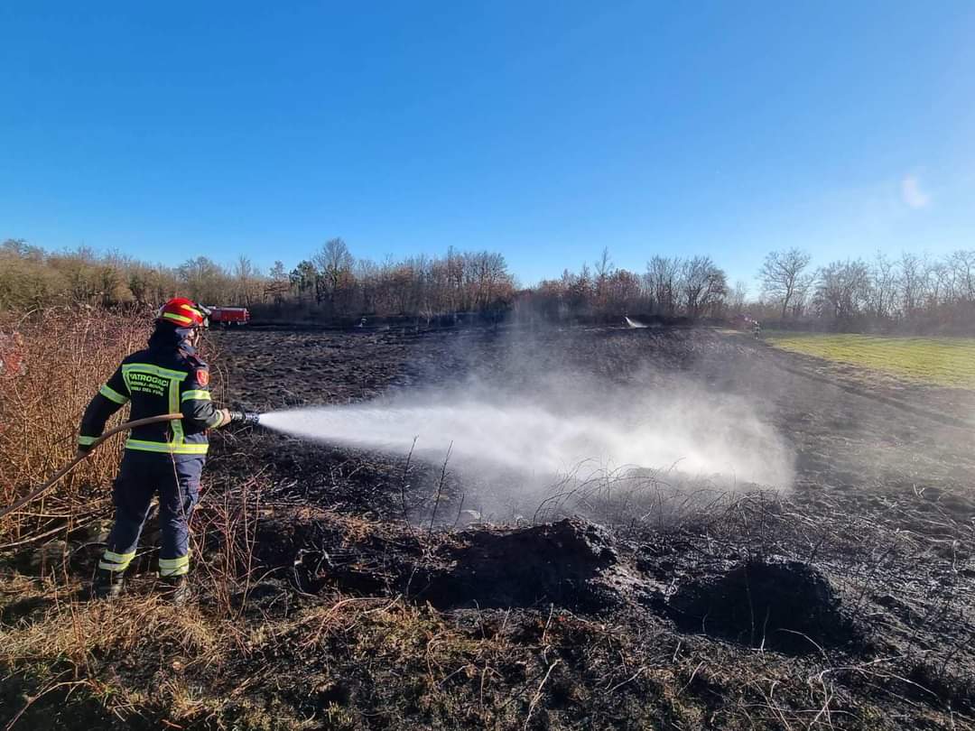 Na cesti Svetvinčenat-Žminj došlo do požara trave i niskog raslinja 