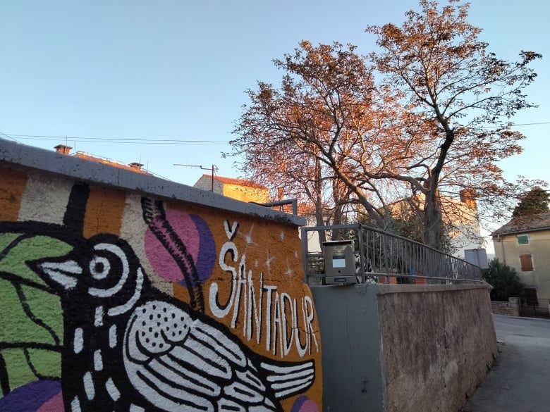 HRVATSKA VOLONTIRA U medulinskom Centru Šantadur ove nedjelje 'Mali i veliki volonteri u akciji'