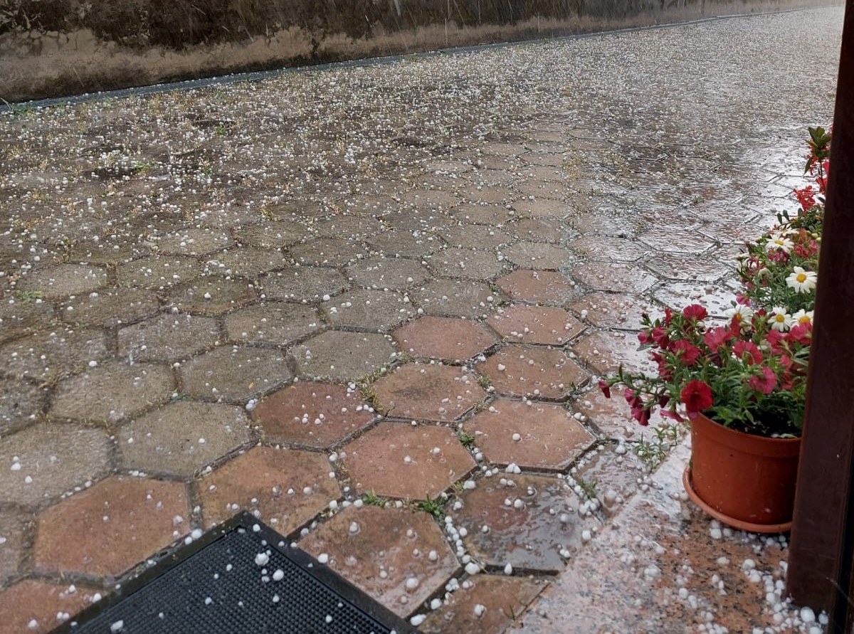 VIDEO Tuča iznenadila građane i goste Rovinja