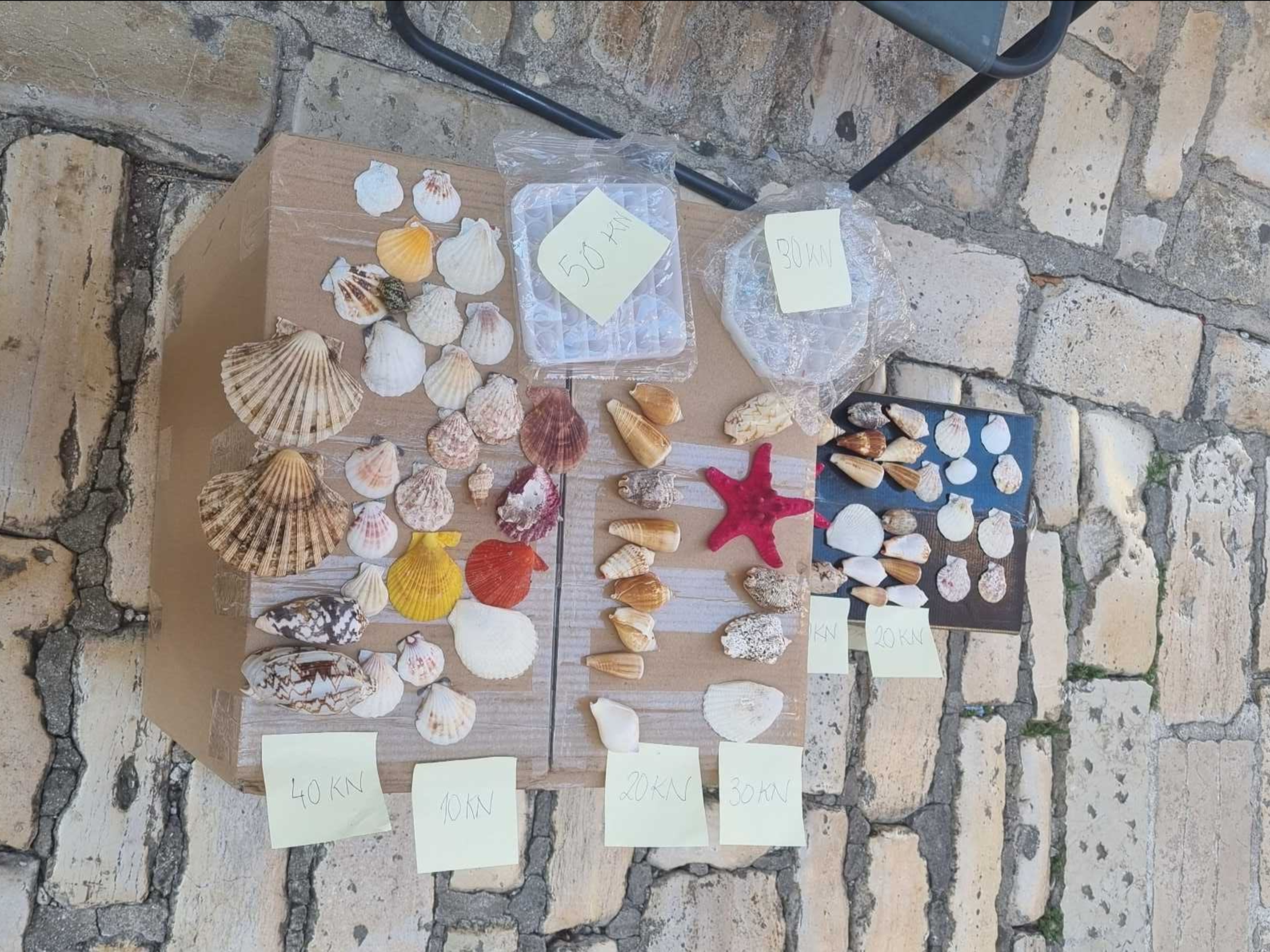 POSKUPILE I ŠKOLJKE! Djeca su ih nekad prodavala po 5 kuna, a sada cijene idu i do 70 kuna
