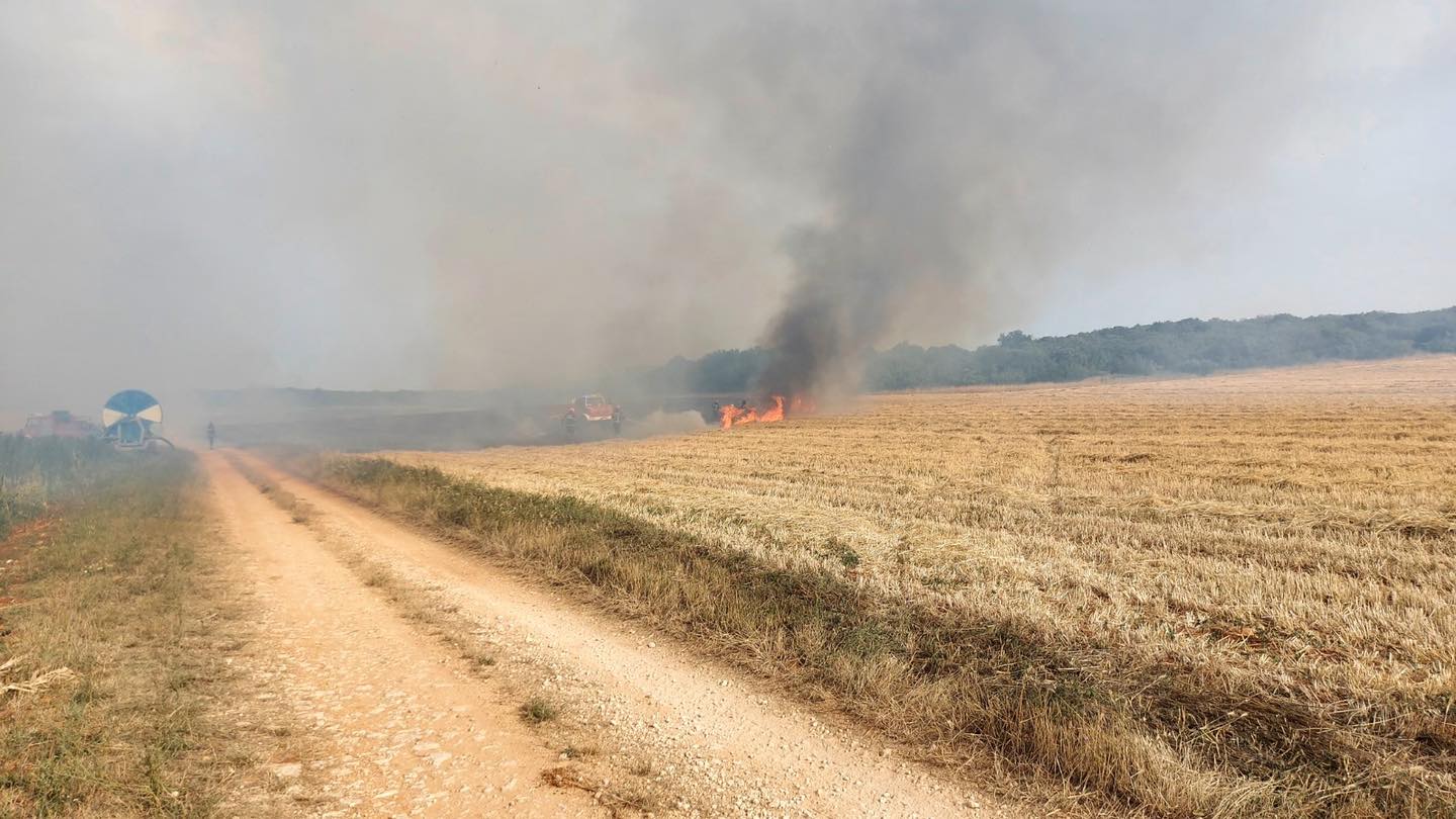 OTKRIVEN UZROK POŽARA NA VALTURI Izgorjelo dvadesetak hektara žita, ječma i slame