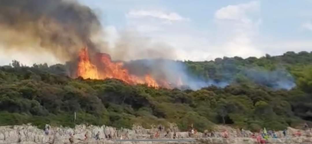 Vatrena stihija na Punta Križu u blizini brojnih kupača ugašena u rekordnom roku VATROGASCI ĆE DEŽURATI CIJELU NOĆ