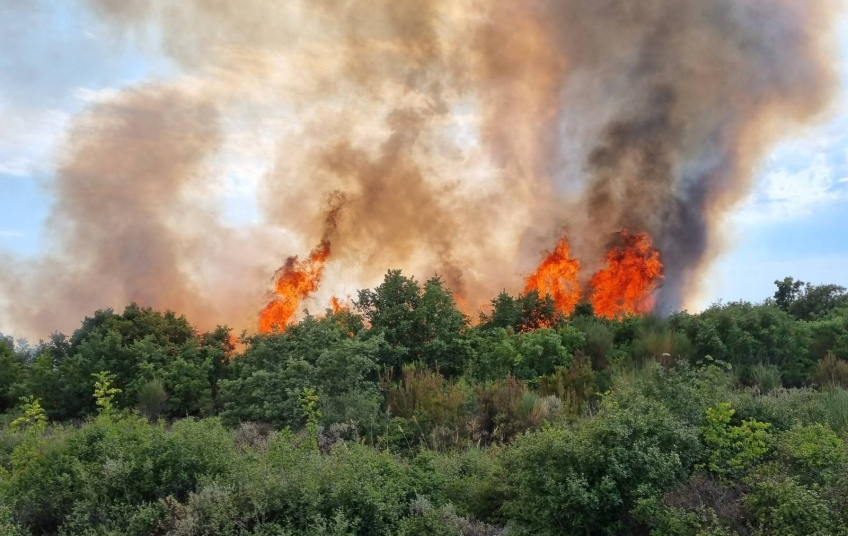 U ISTRI GORI, A ZRAČNE SNAGE NE DOLAZE Kanaderi gase požar u Dalmaciji, a Air Tractori zbog vremena ne mogu do požarišta