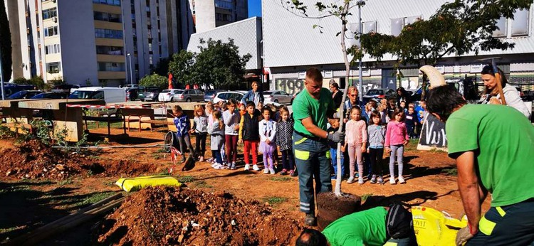Pula: Djeca zasadila stabla u Šijani