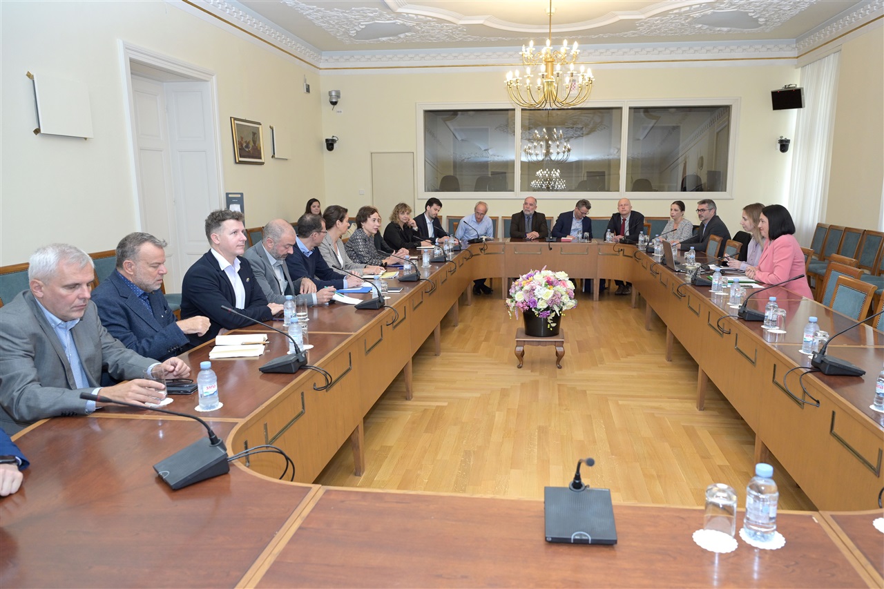 Press_IDS_-_Katarina_Nemet_10.10.2023._2.jpeg
