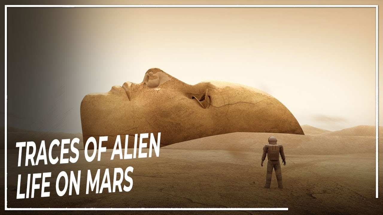 alienlife1.jpg