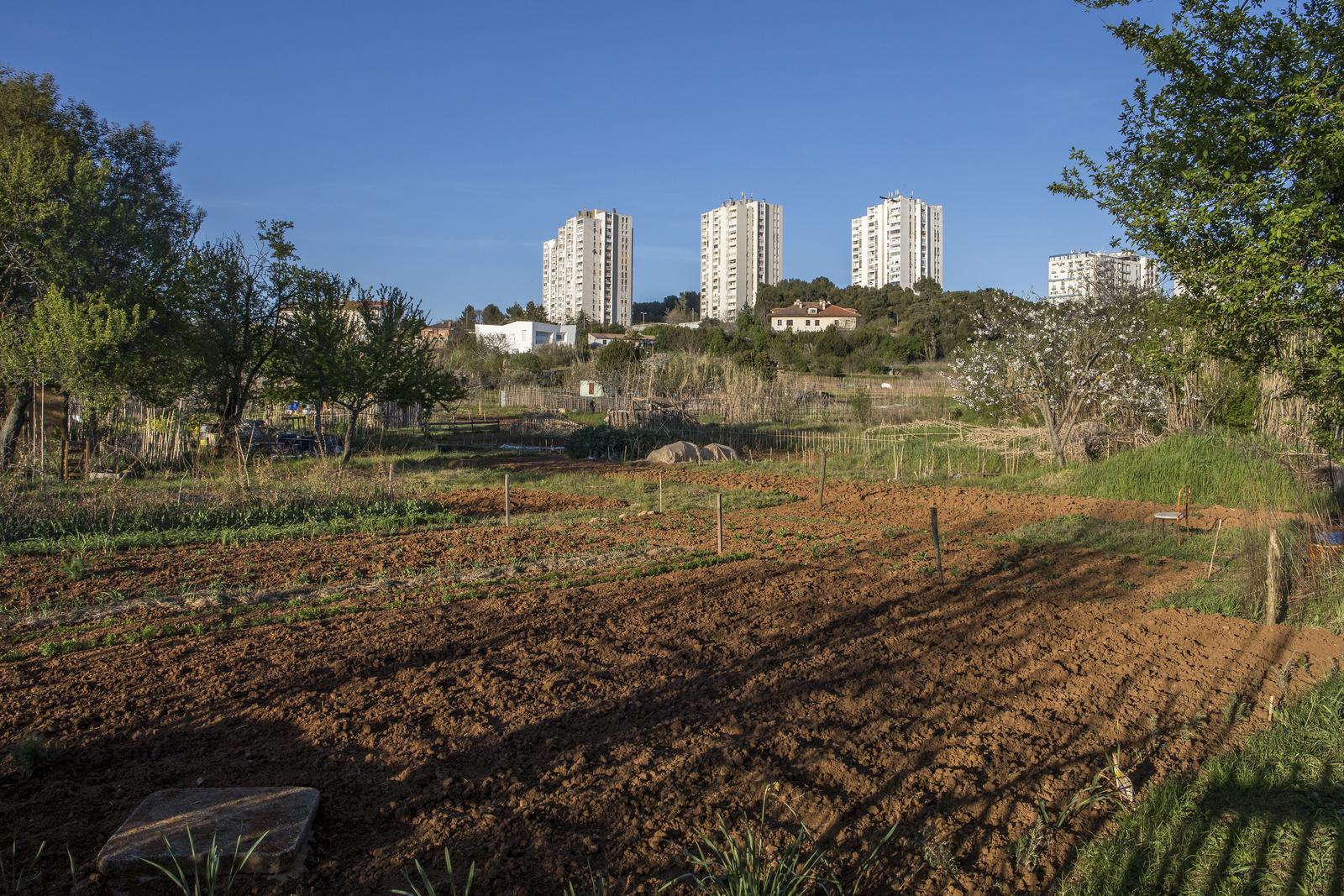 PULA Planiraju se pristupačni i uključivi društveni vrtovi - uključite se sa svojim prijedlozima