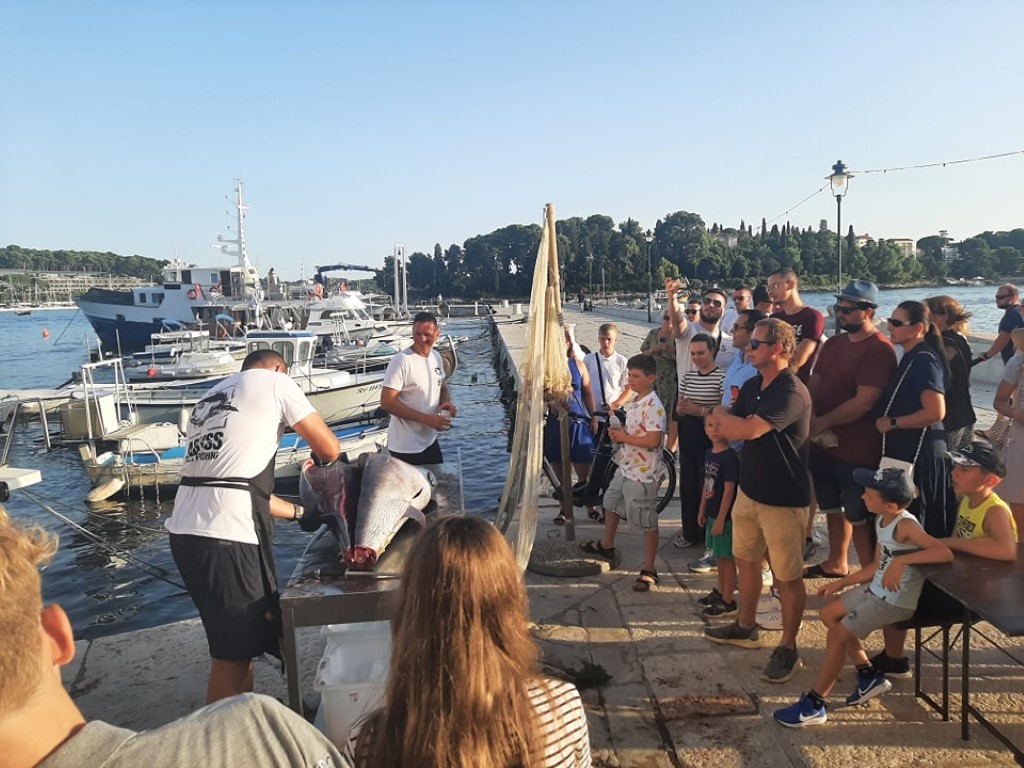IZ MORA NA GRADELE Rovinjska tuna zvijezda je nove manifestacije ...