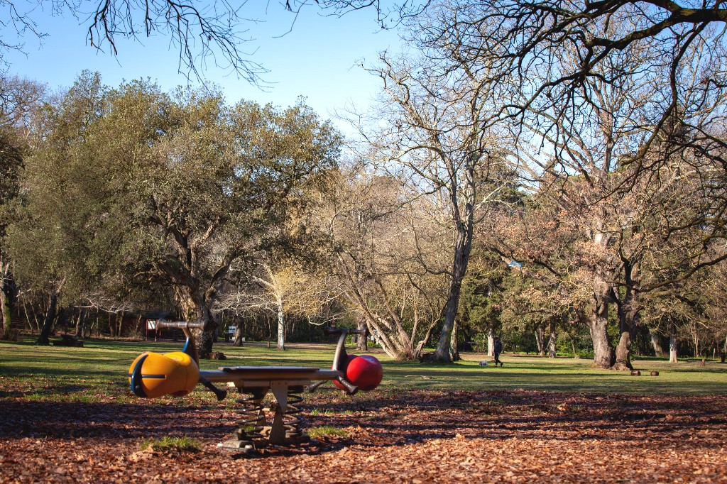 Kreće uređenje Park-šume Šijana i Busoler