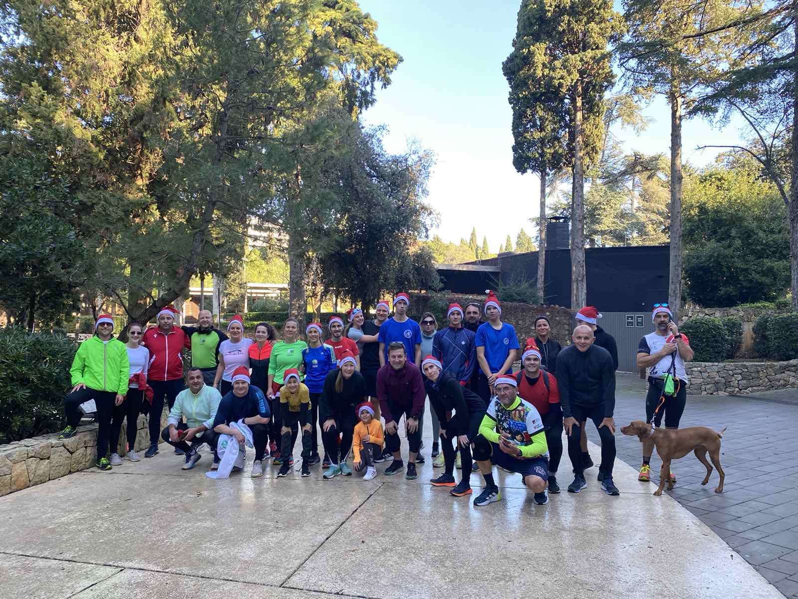 IMG 7181b3dbe45757cbba84246ff5a454c5 V