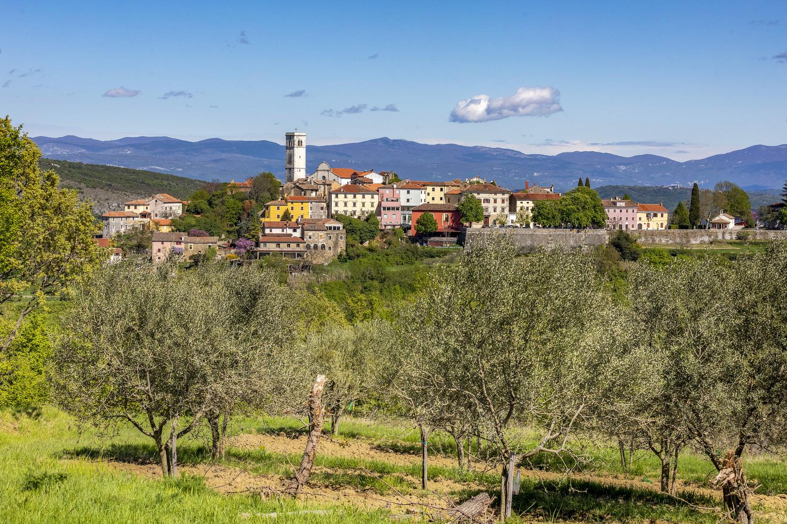 Oprtalj će prvi put biti domaćin Festivala maceriranih vina ALPE ADRIA AMBER