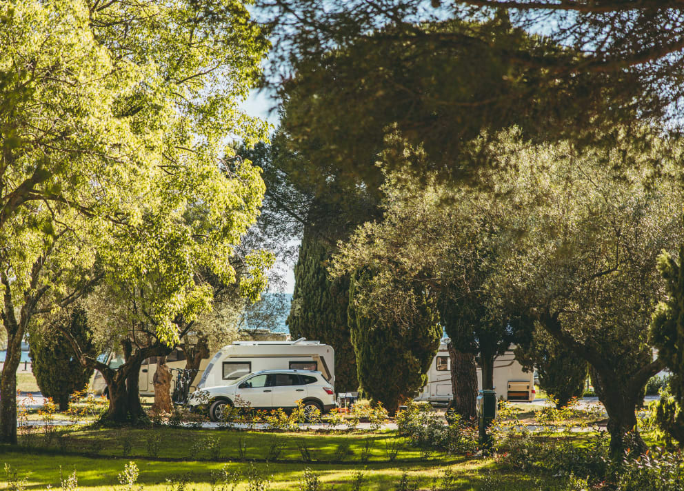 U ISTRI SE OSTVARUJE 50% KAMPING NOĆENJA Hrvatski kampovi ostvaruju visoka očekivanja