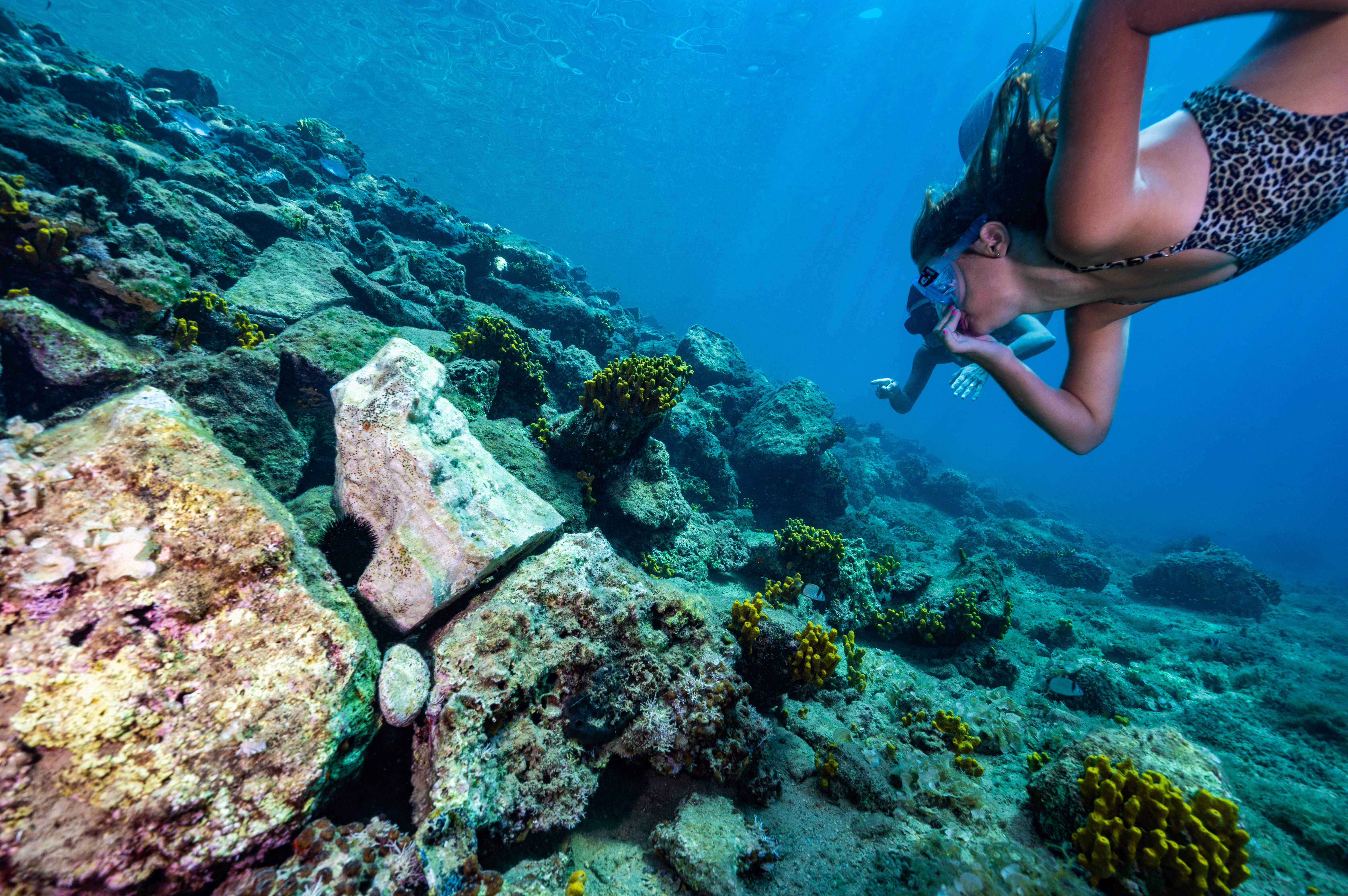 Ovo vikenda organizirane besplatne vođene snorkeling ture na Krničkoj plaži i uvali Školjić u Kavranu