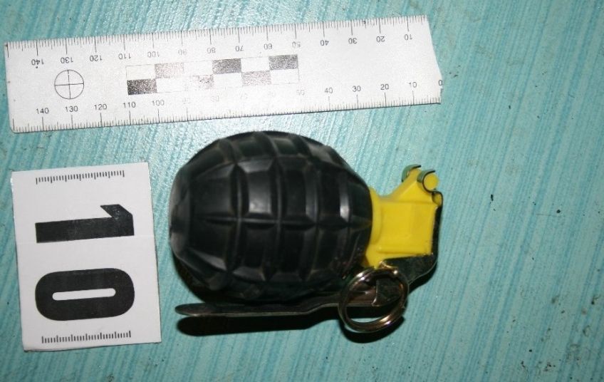 Muškarac u šumi kod Vrsara PRONAŠAO BOMBU Odmah obavijestio policiju
