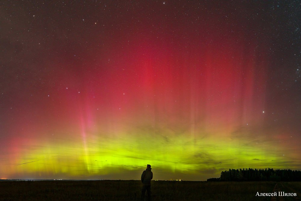 Polarna svjetlost (Aurora borealis): Kako ju vidjeti i prepoznati?