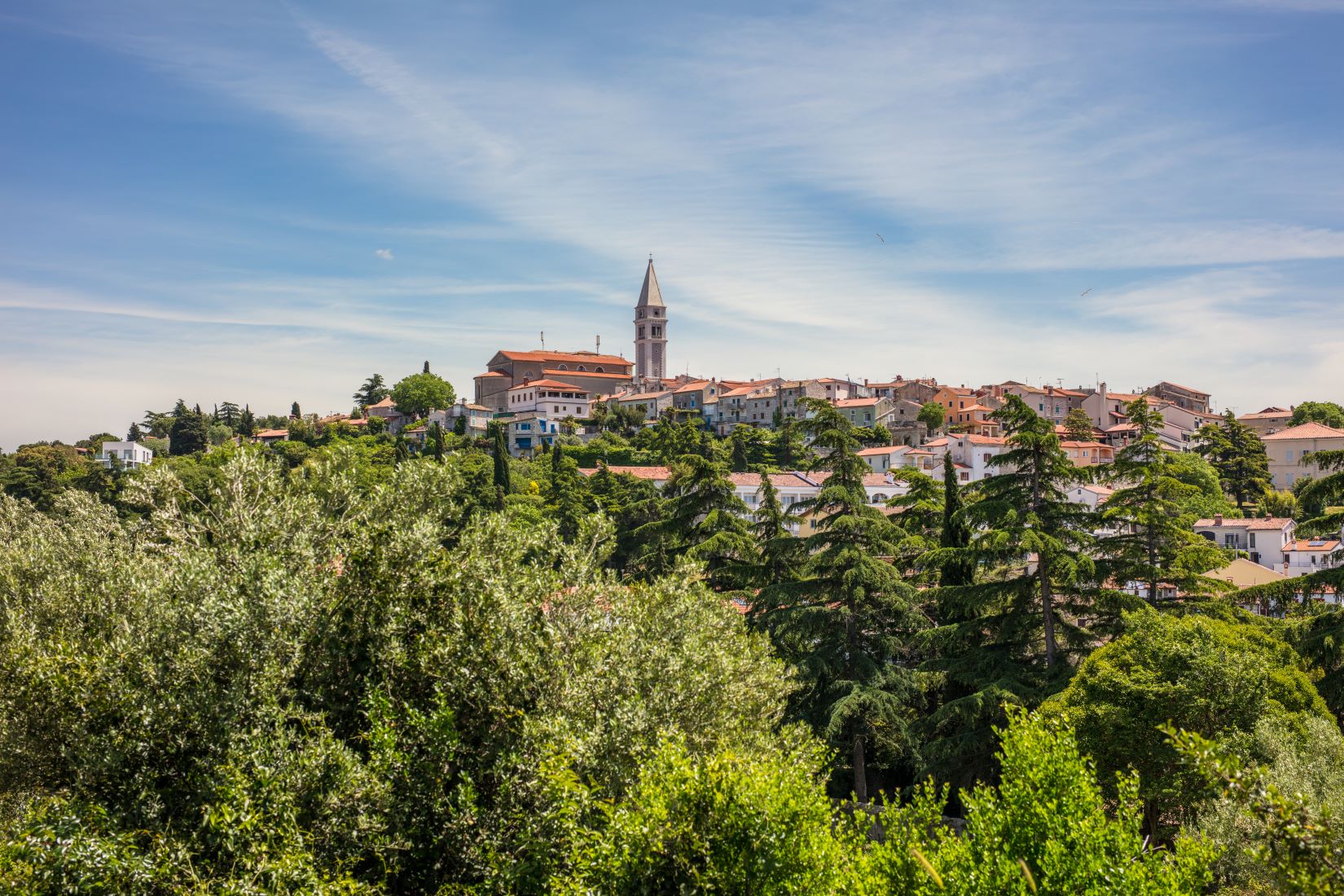 Posjetite Vrsar i educirajte se o turizmu, poljoprivredi i mladima