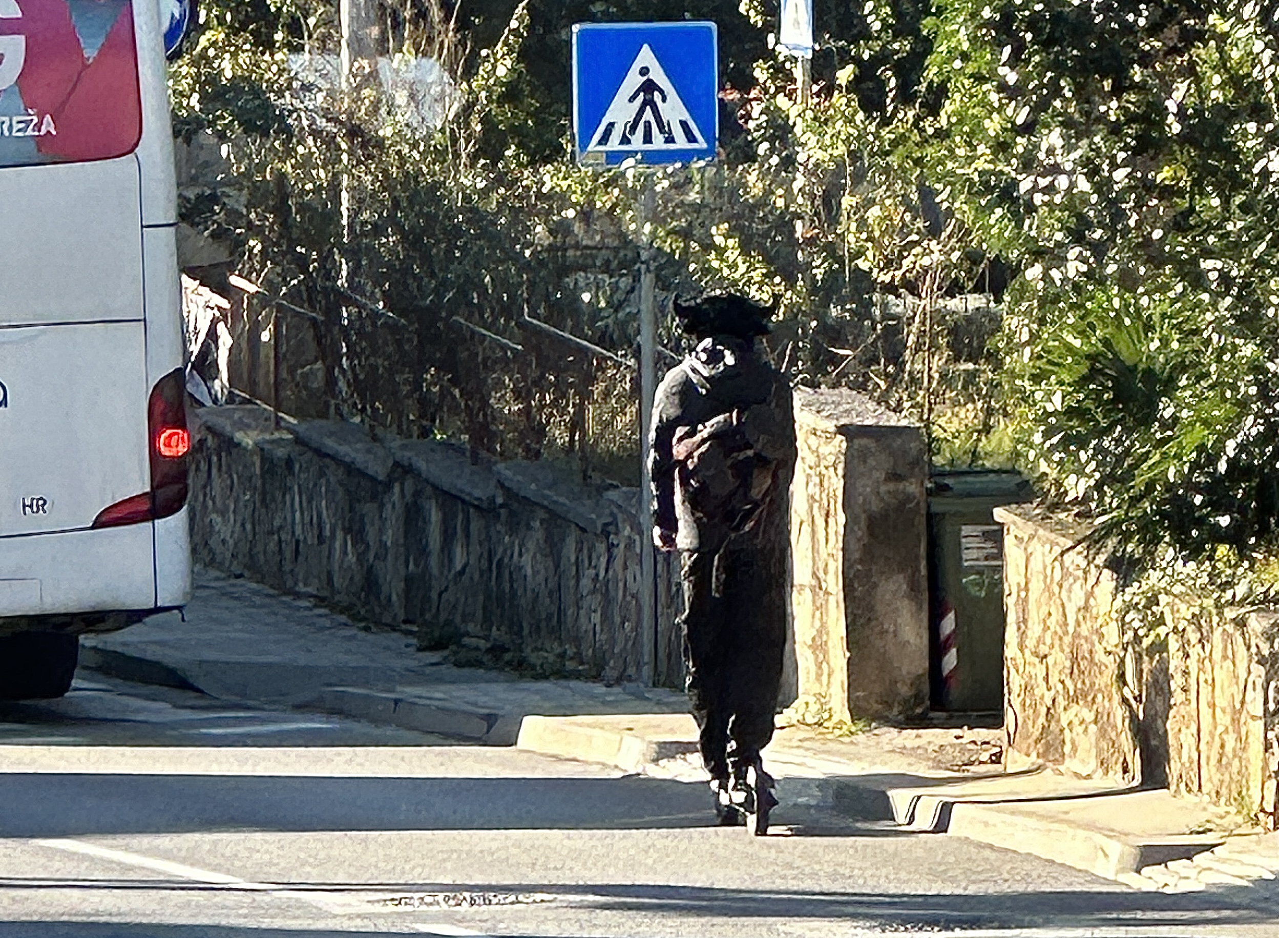 FOTO BILJEŠKA Prije svetog Nikole, na romobilu u Rovinj stigao Krampus 'OVAJ JE DOŠAO Z ROGOVIĆI'