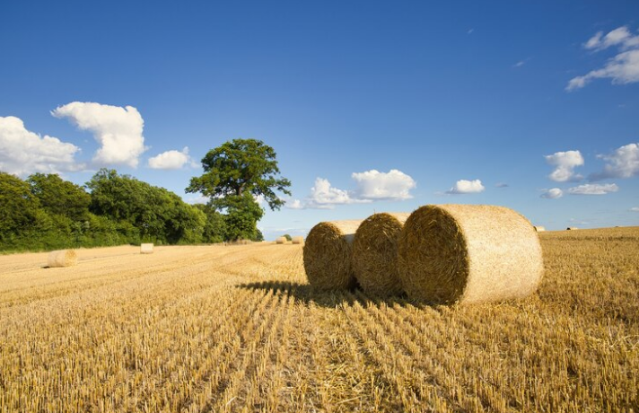 Istarska županija osigurala 132 tisuće eura! ZA POTPORE POLJOPRIVREDI I RURALNOM RAZVOJU!