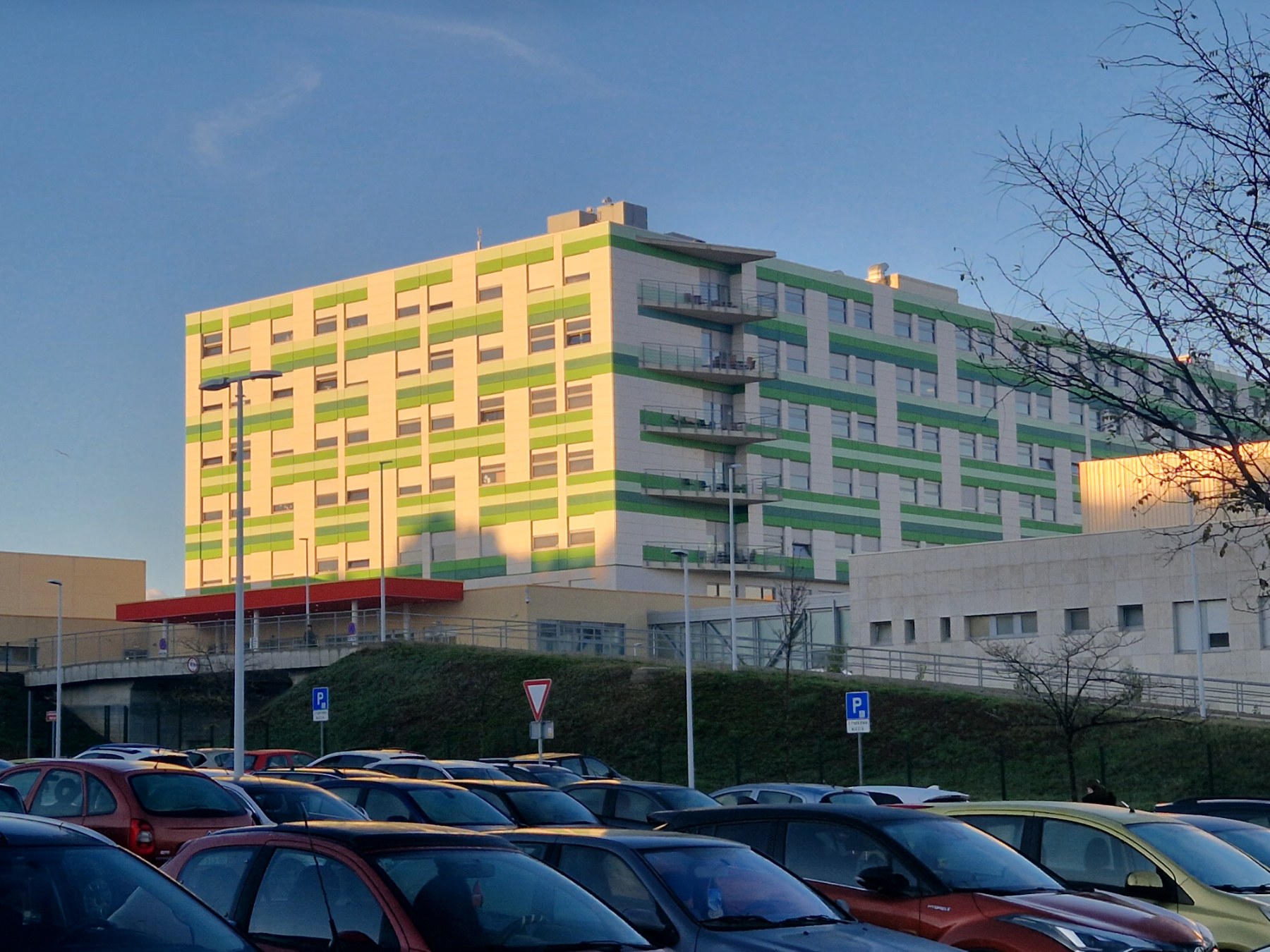 O GUŽVAMA NA HITNOJ U PULI Pročelnica Antić: Najveći je problem što dolaze pacijenti koji nisu hitni!