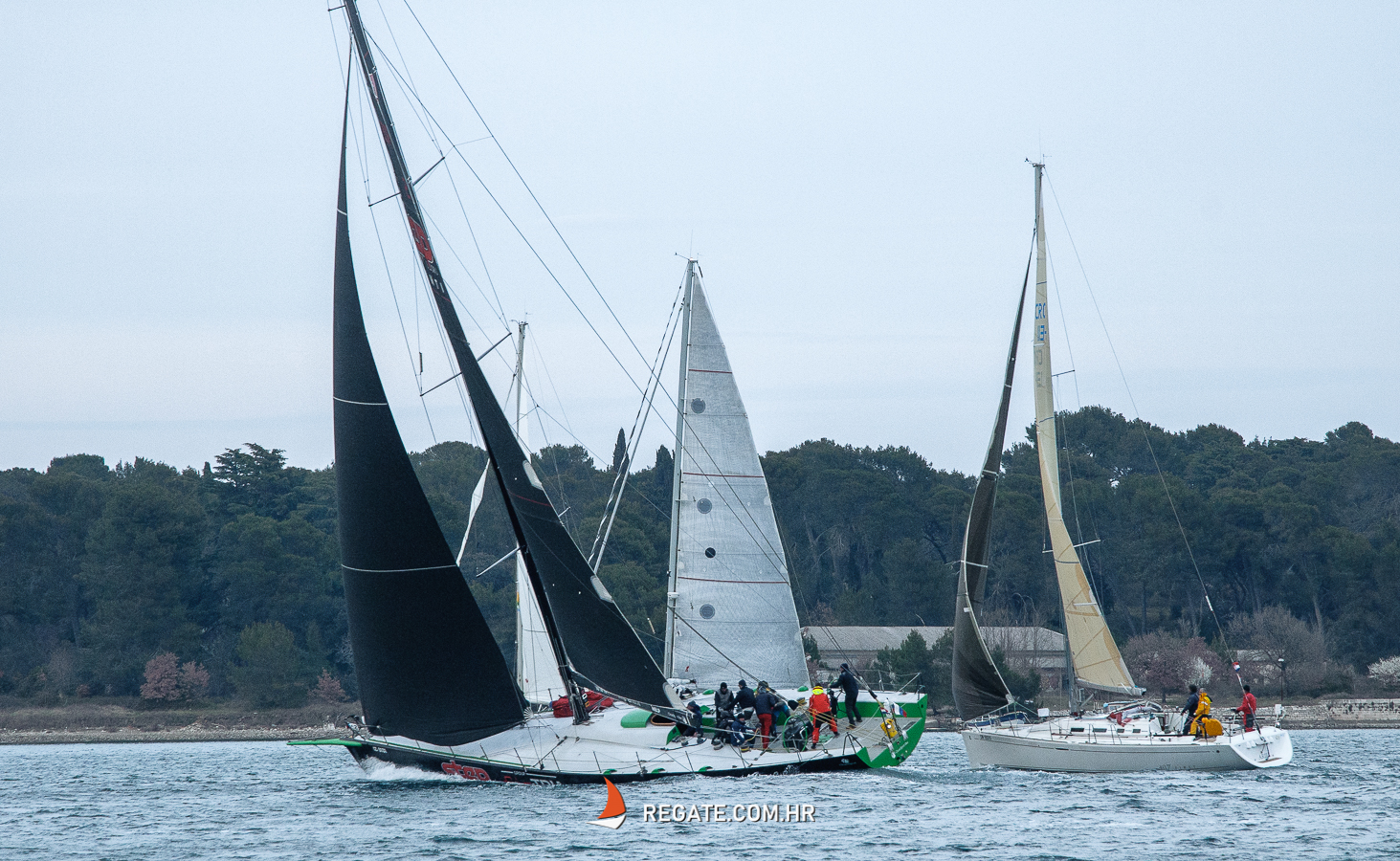 Full_Moon_regatta.jpg