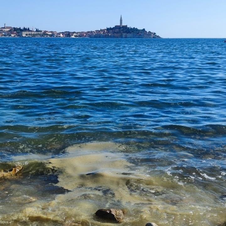IMG_0107.jpeg