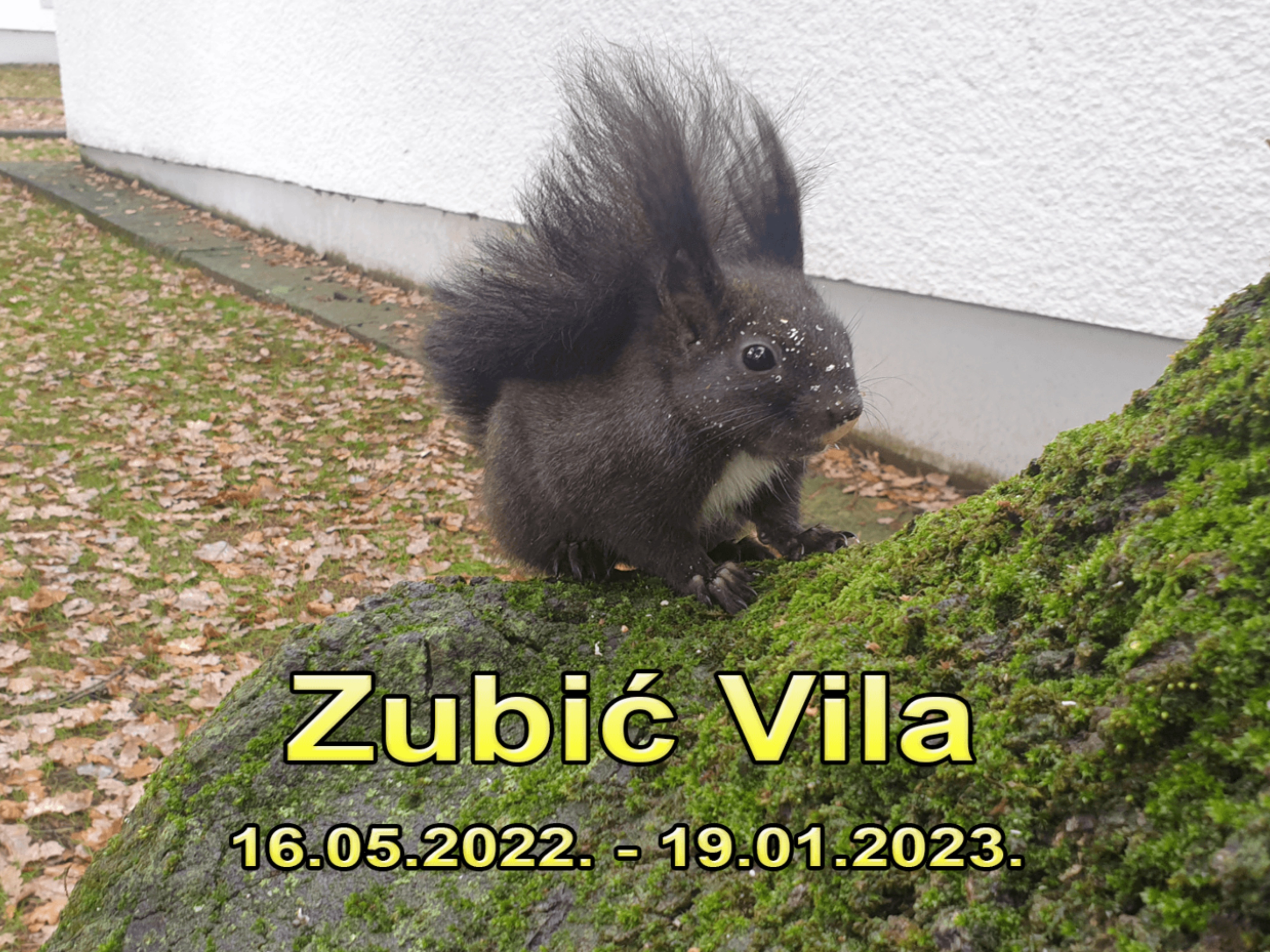 collage_-_2024-01-19T095641.887.jpg