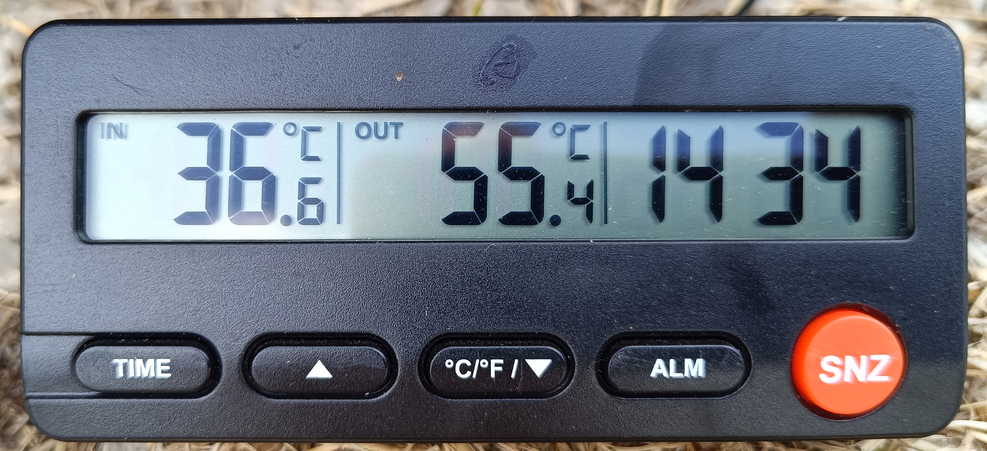 temp_auto_10min.jpg
