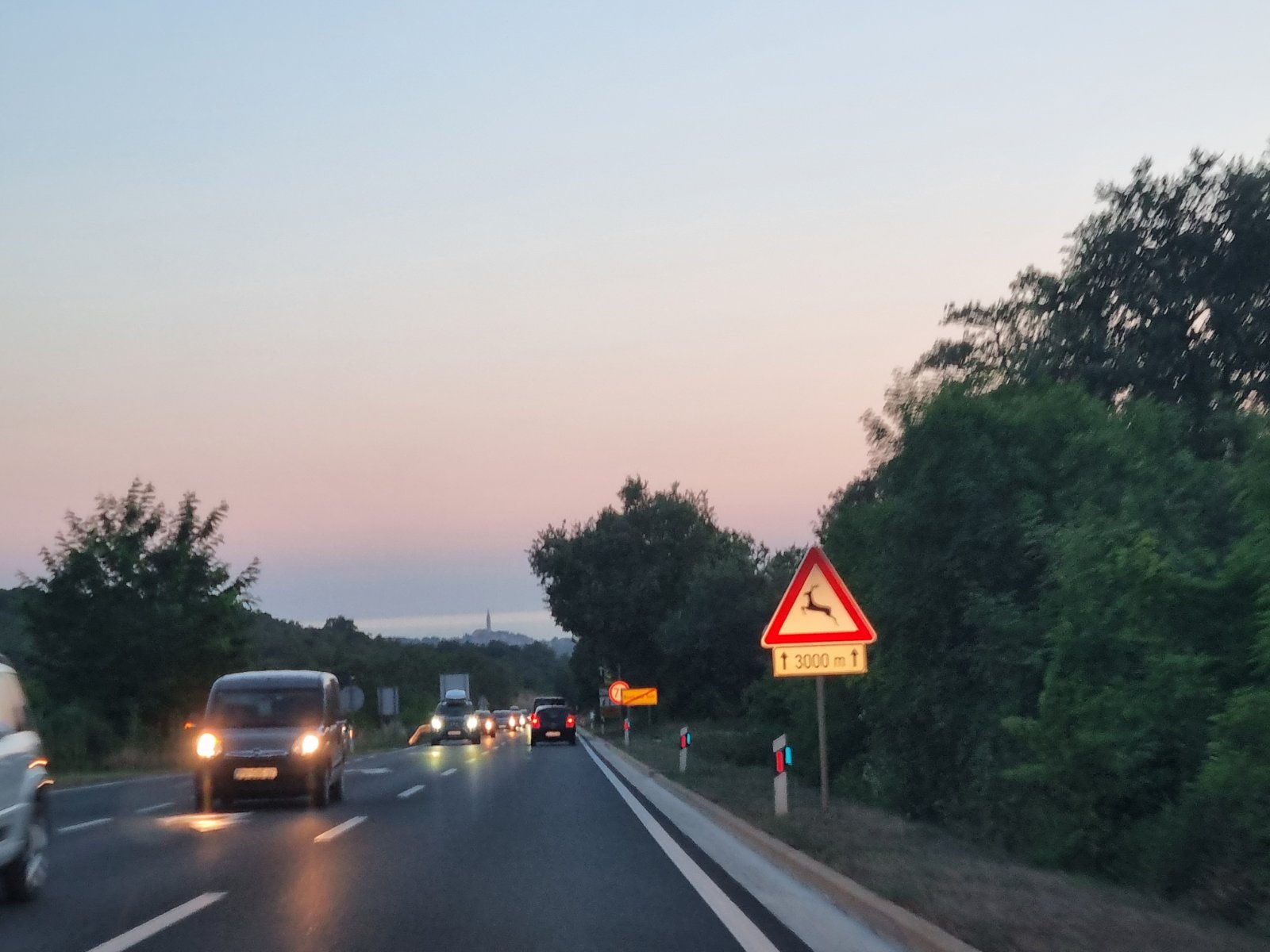 VOZAČI, OPREZ! U Istri se posljednjih dana bilježi porast broja naleta na divljač