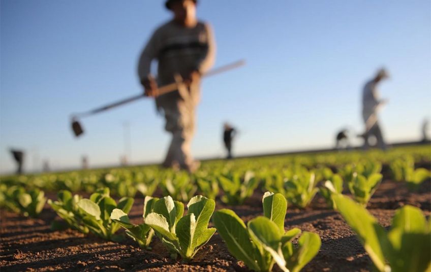 MOŽEMO! PULA: 'Poljoprivredne potpore u Puli su nedovoljne i nedostatne!'