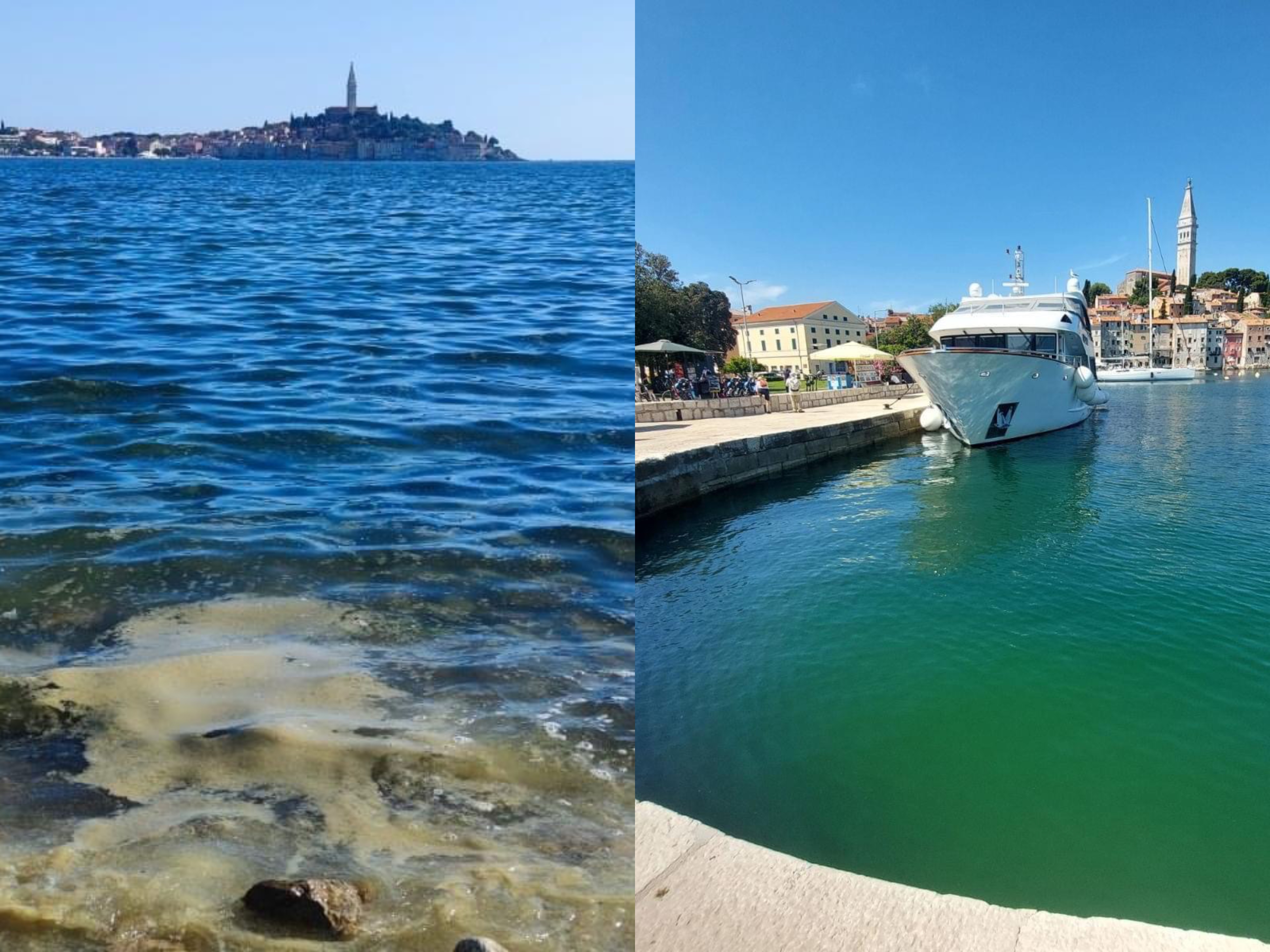 SIGURNO STE PRIMJETILI! Sluzave nakupine uz obalu Rovinja prirodni su fenomen CVJETANJA MORA