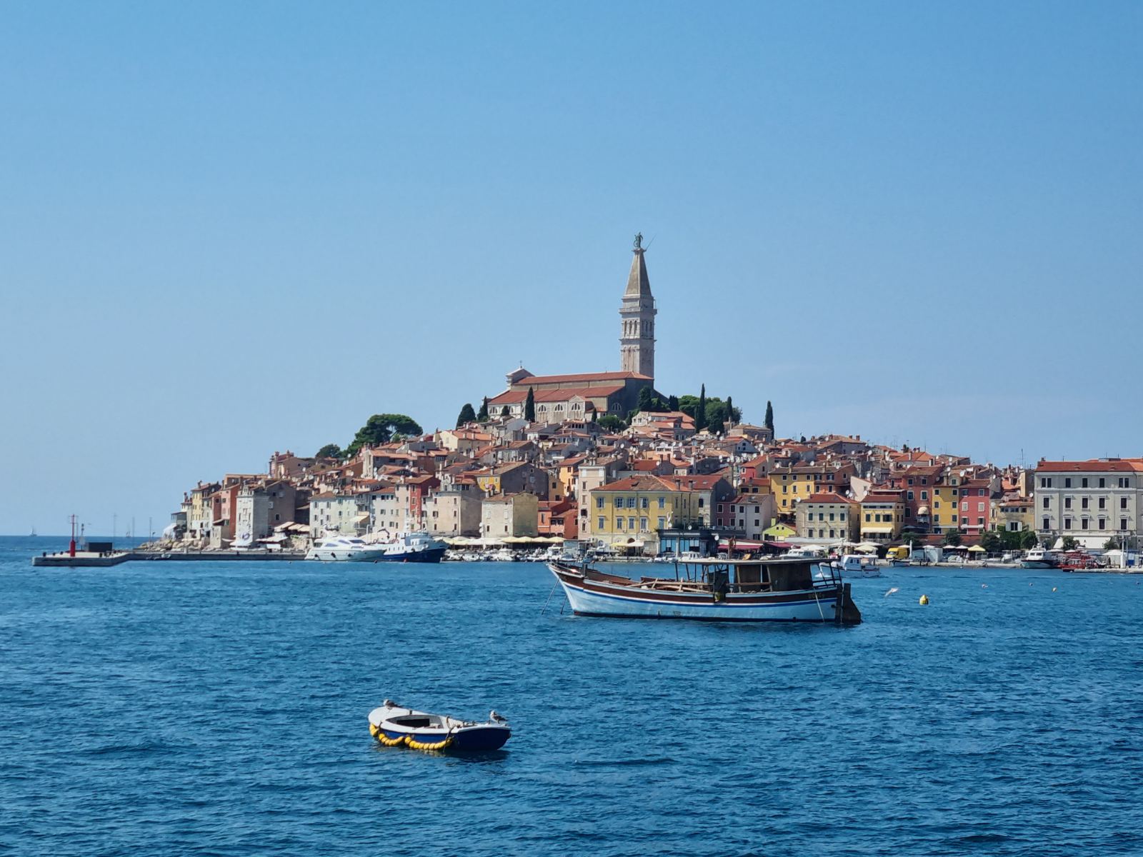 BJELAJAC, BRAUS, GRBAC... Poznati svi kandidati kojima će biti uručene nagrade, počasti i priznanja Grada Rovinja!