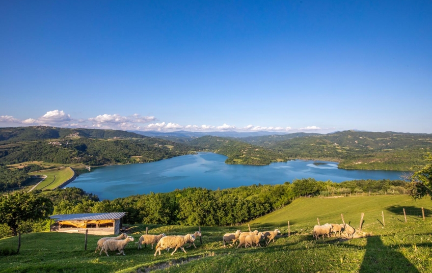 Potrošnja vode u Istri ovog tjedna 30% veća u odnosu na lani ZALIHE IMA DOVOLJNO!