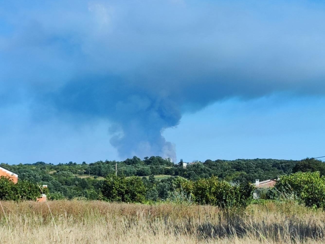 VATRA STAVLJENA POD KONTROLU Na Barbanštini opožareno 50 hektara, na terenu preko 30 vatrogasaca i dva kanadera