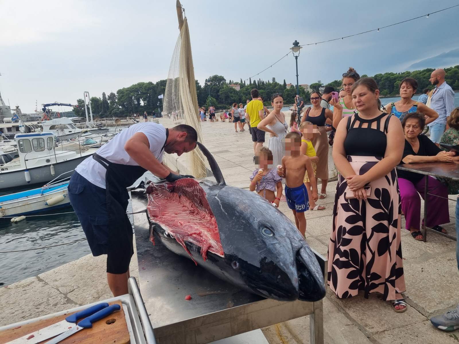 Rovinjska atrakcija Tuna Fest ove nedjelje! Kušajte tunu od 70 kg iz rovinjskog akvatorija