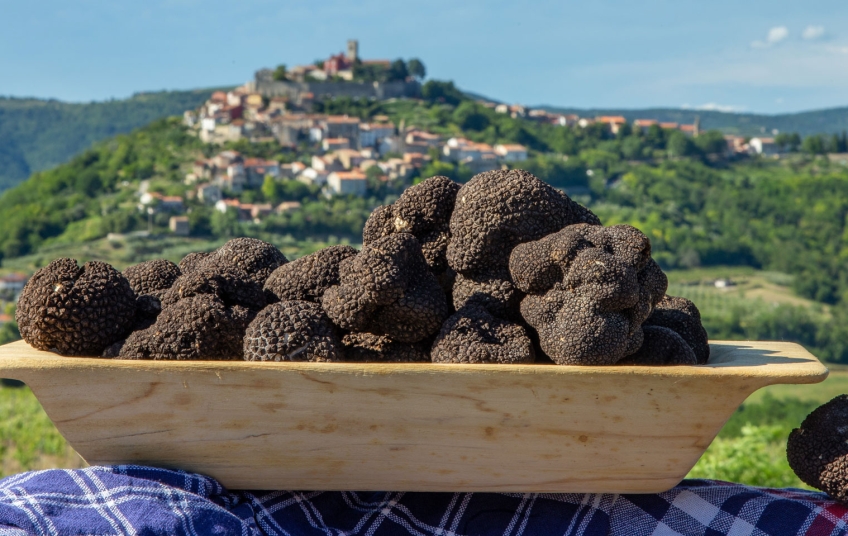 Vrhunska delicija koja je i pred 4000 godina dražila nepca, upoznajte njegovo veličanstvo - TARTUF!